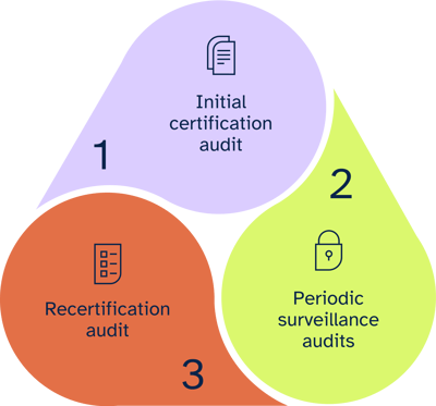 types of audits